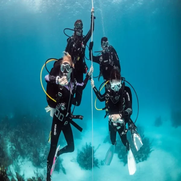 Openwater course (1)