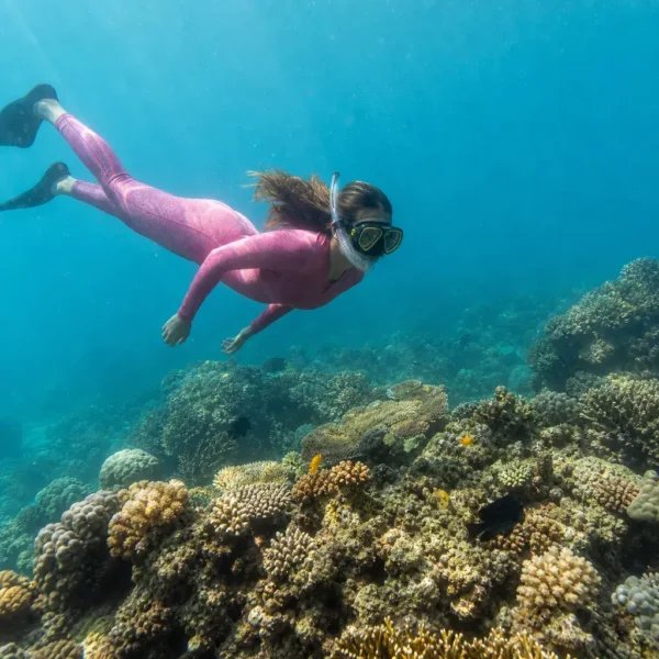 Snorkeling