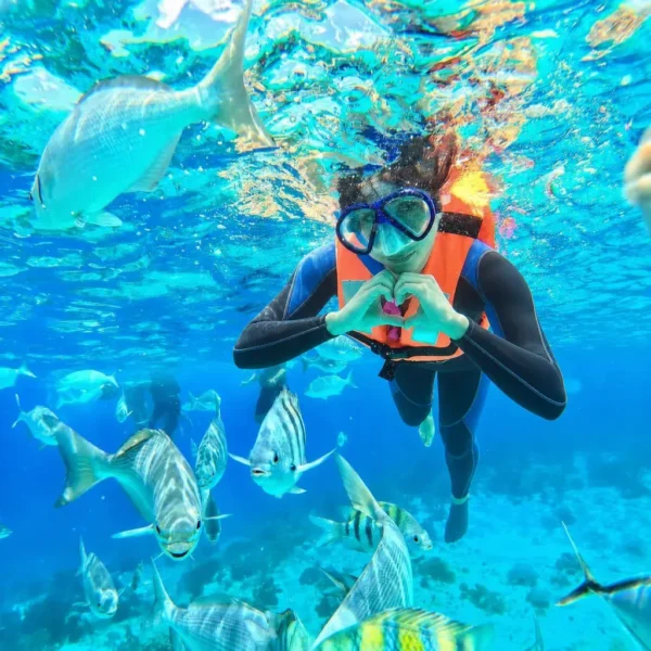 Snorkeling group Mnemba