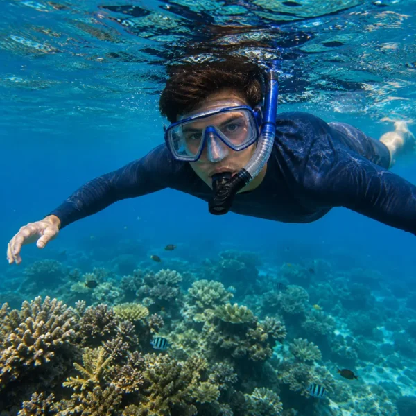Snorkeling group pungume