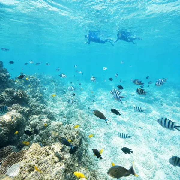 Snorkeling group pungume
