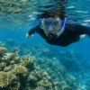 Snorkeling