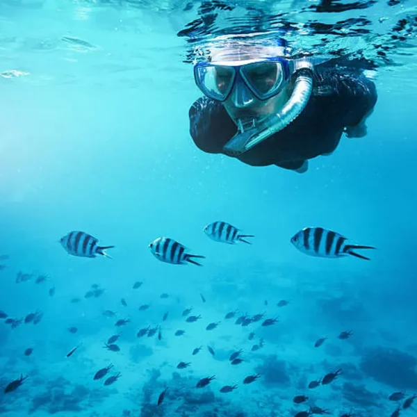 Snorkeling private Mnemba