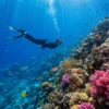 Snorkeling private main photo
