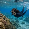 Snorkeling private pungume