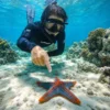 Snorkeling private pungume