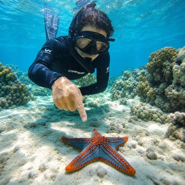 Snorkeling private pungume
