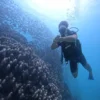 Diving South Zanzibar