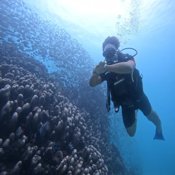 Diving South Zanzibar