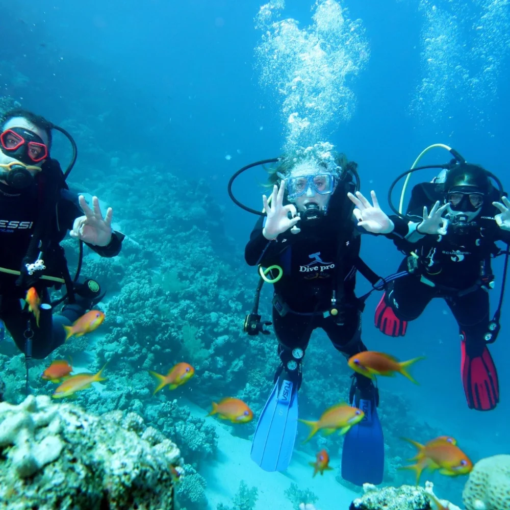 Advanced Open Water Diver Course