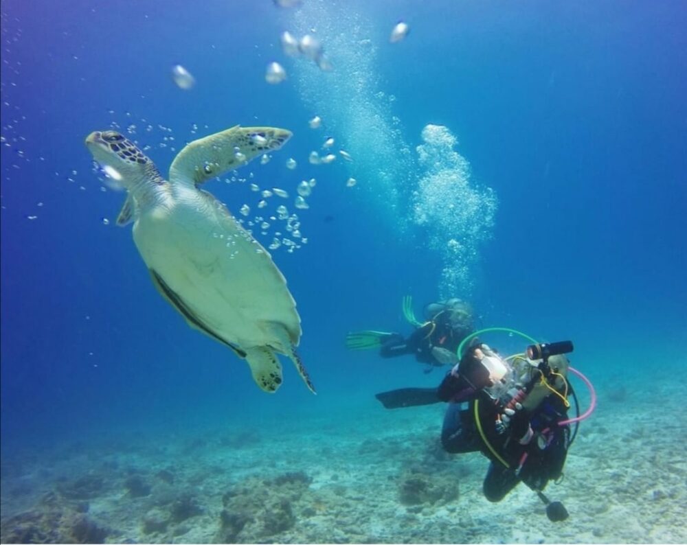 Create your Dive Plan