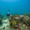 Create your Dive Plan