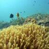 Create your Dive Plan