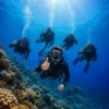 Snorkeling group Mnemba