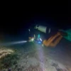 🌙🔦 Night Dive